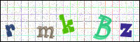 Image Verification