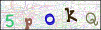 Image Verification
