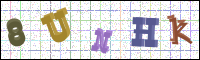 Image Verification