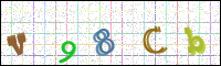 Image Verification