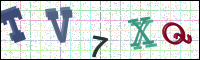 Image Verification