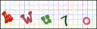 Image Verification