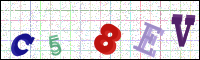 Image Verification