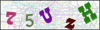 Image Verification