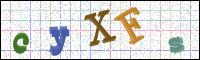 Image Verification