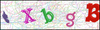 Image Verification