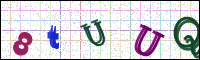 Image Verification
