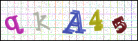 Image Verification